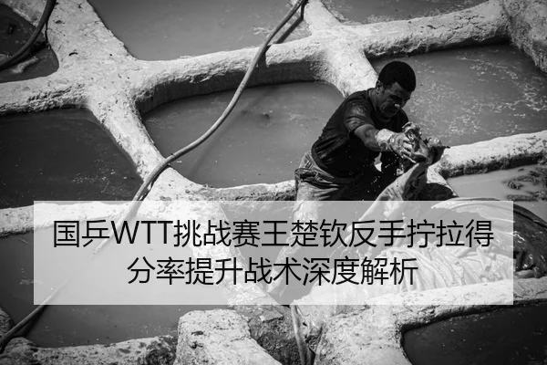 国乒WTT挑战赛王楚钦反手拧拉得分率提升战术深度解析