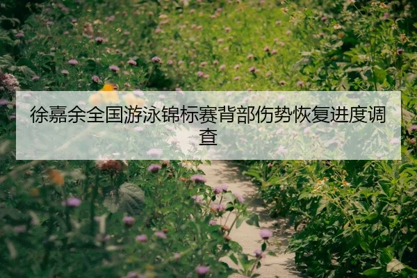 徐嘉余全国游泳锦标赛背部伤势恢复进度调查