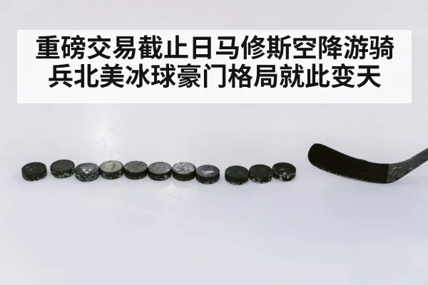 重磅交易截止日马修斯空降游骑兵北美冰球豪门格局就此变天